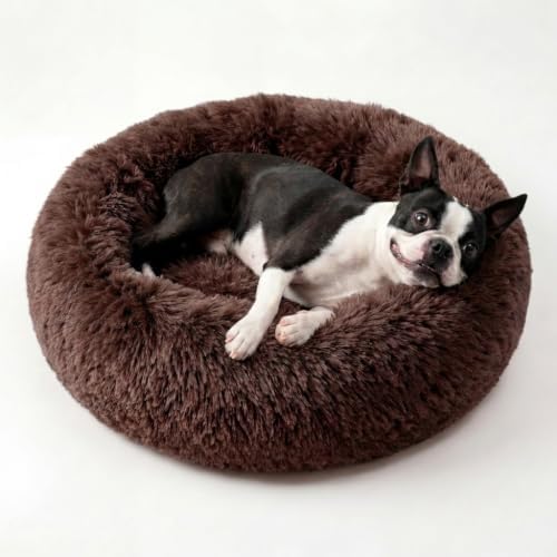 nononfish Small Dog Bed, Soft Donut Calming Plush Pet Bed by nononfish