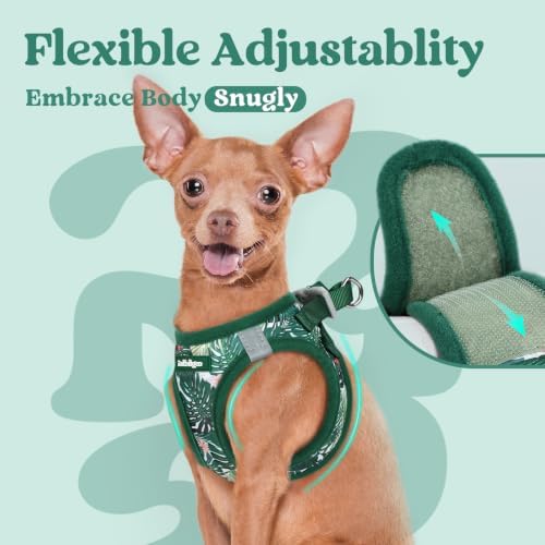 rabbitgoo Step-in Small Dog Harness, Puppy Vest - Image 7