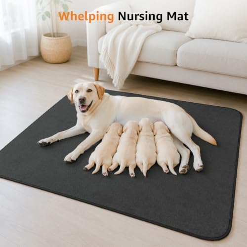 LOOBANI Washable Pee Pads for Dogs, 2 Pack Leak-Proof Dog Mats - Image 6