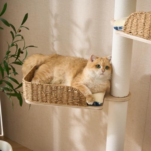SHENGOCASE Ladder Cat Tree for Wall - Image 7