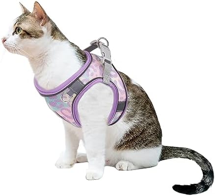 Step in Mesh Dog Harness and Leash Set - Image 6