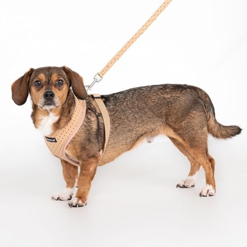 Puppia Dotty Dog Harness A Fashionable Polka Dot Pattern Spring Summer Harness - Image 4