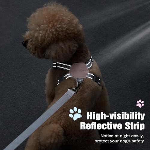 Pawaboo Small Dog Harness and Leash Set, Puppy Harness X-Frame Adjustable - Image 7