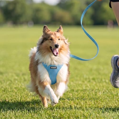 Voyager Step-in Air Cat Harness & Leash Set - Image 7