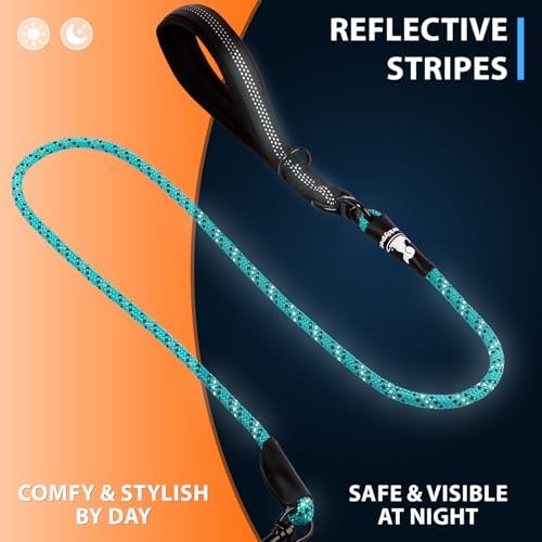 SparklyPets Double Dog Bungee Rope Leash - Image 6