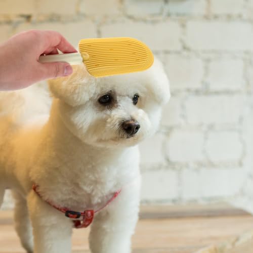 Healifty 2pcs Multipurpose Pet Hair Removal Brush - Image 7