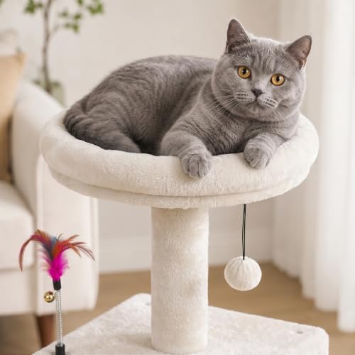 YUNIQUE Small Cat Tree for Indoor Cats, Cat Tower - Image 6