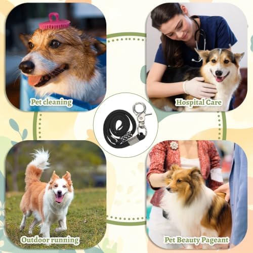 Dog Grooming Leash - Image 7