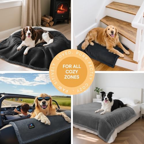 Luciphia Waterproof Bed Blanket Washable, Soft Sherpa Fleece Puppy Reversible - Image 6