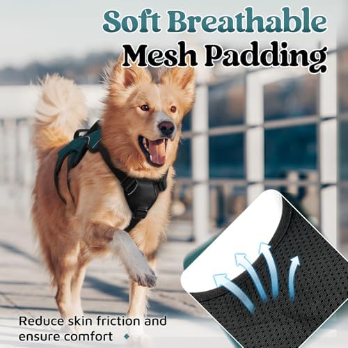 rabbitgoo Escape Proof Dog Harness - Image 7