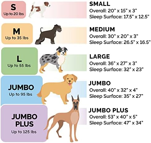 FurHaven Orthopedic Dog Bed & goDog Toy - Image 7