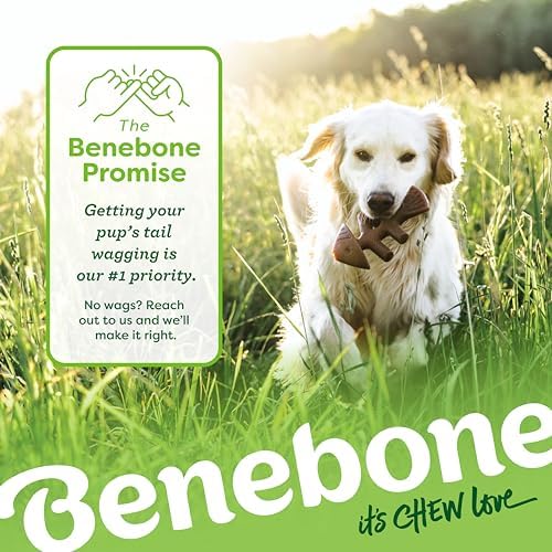 Benebone Large 4-Pack Dog Toys for Aggressive Chewers – Under 90 lbs - Image 7