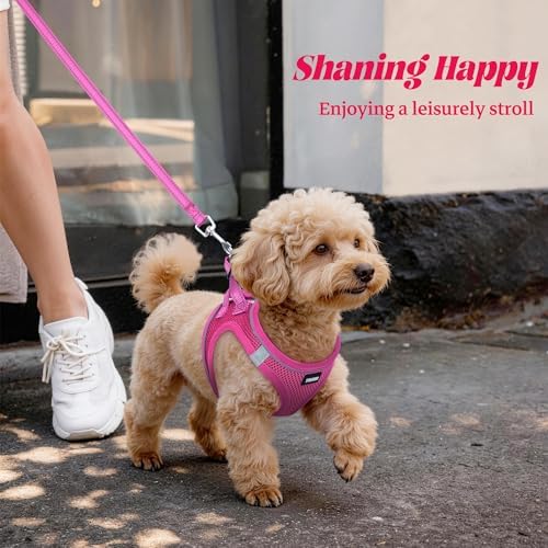 No Pull Dog Puppy Harness and Leash Set Reflective Mesh Vest Large - Image 6