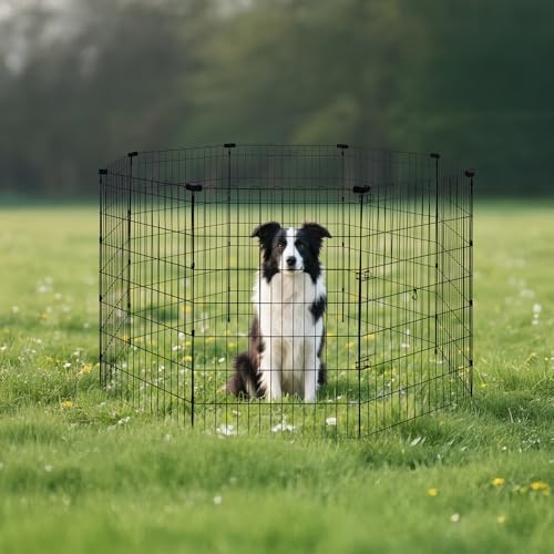 Amazon Basics Foldable Octagonal Metal Exercise Dog Playpen, Indoor/Outdoor - Image 7