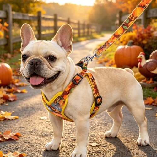 PUPTECK Thanksgiving Dog Harness and Leash Set Small Sized, Step in No Pull - Image 5