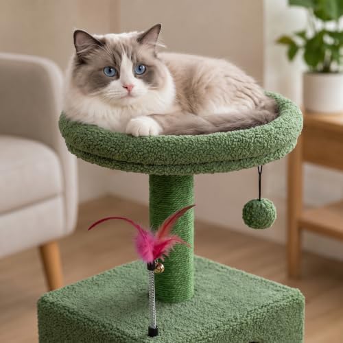 YUNIQUE Small Cat Tree for Indoor Cats, Cat Tower - Image 7