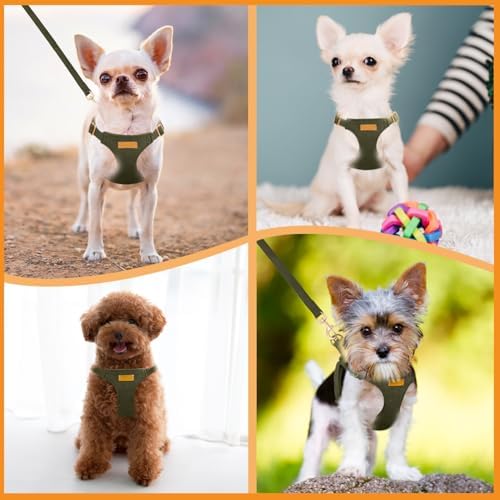 SlowTon No Pull Dog Harness - Image 7