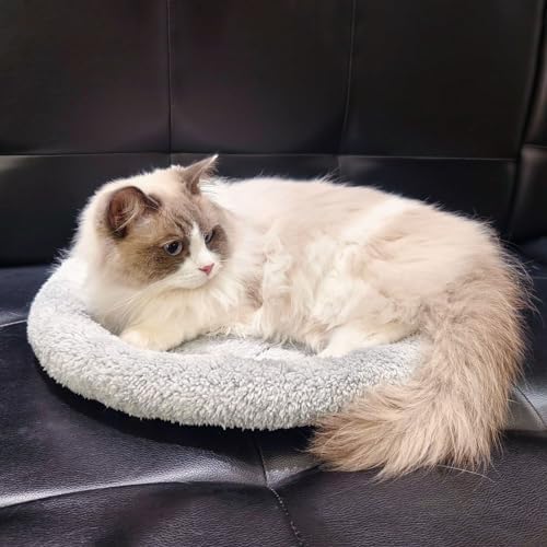 Enjoying Plush Cat Bed Mat, 15.75" Round, Self Warming Dog Bed - Image 6