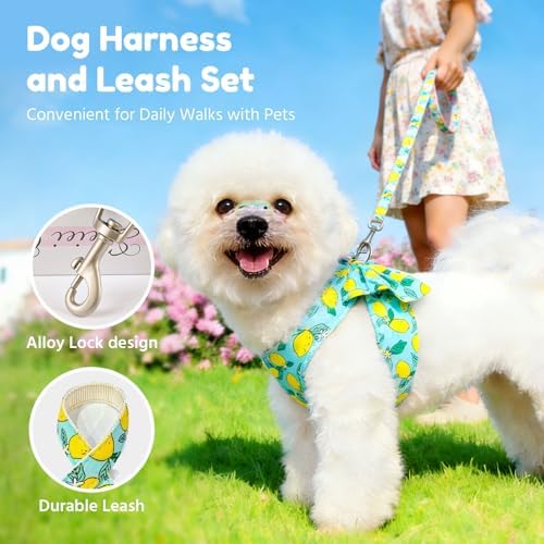 BAEJMJK Dog Harness and Leash Set - Image 7