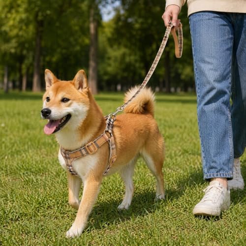Cute Plaid Dog Harness & Leash Set, Adjustable No‑Pull Safety Buckle Harness - Image 4