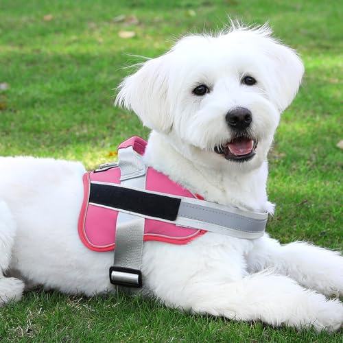 Bolux Dog Harness, No-Pull Reflective Dog Vest, Breathable Adjustable Pet - Image 7