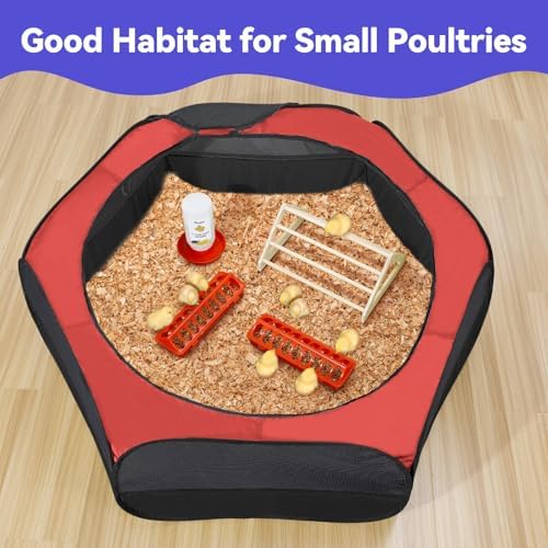 Pawaboo Chick Brooder Box for Chick Starter Kit - Image 7