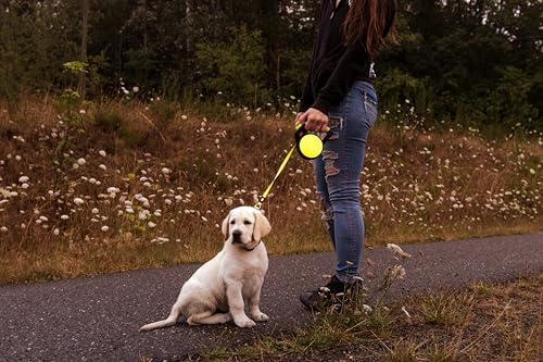 WIGZI Reflective Gel Retractable Leash - Image 6