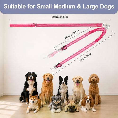 Double Dog Leash Padded Handle 360°Swivel No Tangle Dual Leash - Image 7