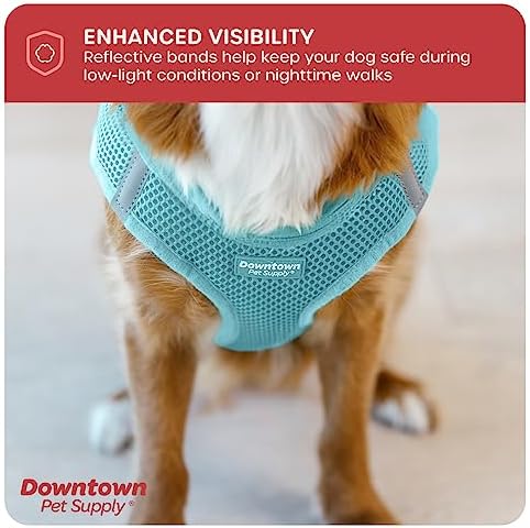 Downtown Pet Supply Step-in Dog Harness – No Pull, Adjustable Padded Mesh - Image 7