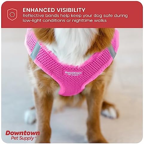 Downtown Pet Supply Step-in Dog Harness – No Pull, Adjustable Padded Mesh - Image 7
