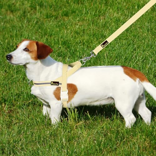 Plutus Pet Cotton Dog Harness and Leash Set, Reflective and Soft Padded - Image 6