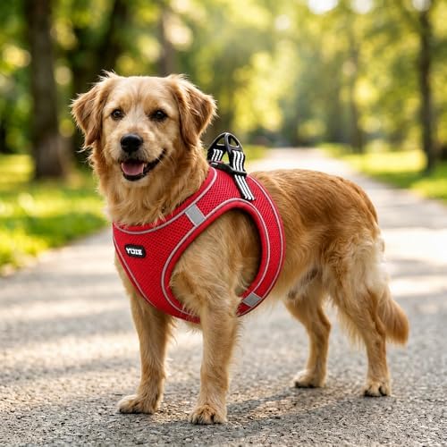 ROYPET Step-in Air Dog Harness, All Weather Mesh Step in Vest Harness - Image 7