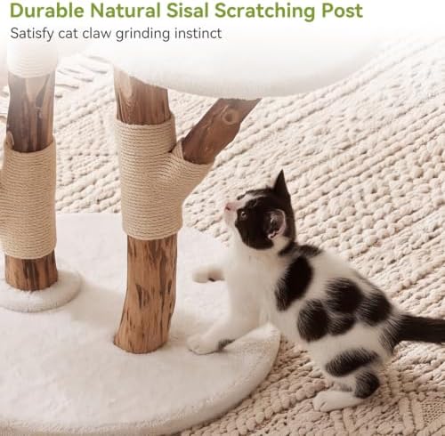 Wood Cat Tree, Modern Cat Tower - Image 7