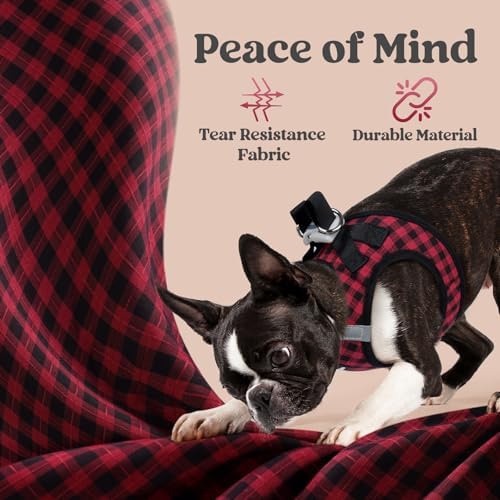 rabbitgoo Step-in Small Dog Harness, Puppy Vest - Image 7