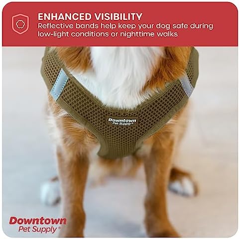 Downtown Pet Supply Step in Dog Harness - Image 7