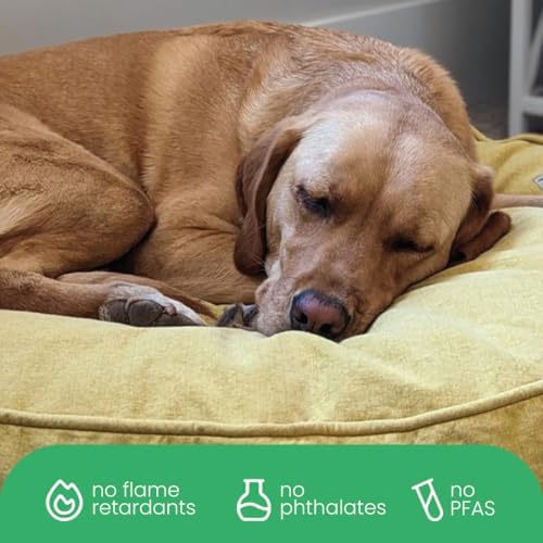 Molly Mutt Yellow Dog Bed Cover, Non-Toxic & 100% Cotton - Image 6