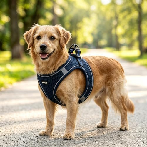 ROYPET Step-in Air Dog Harness, All Weather Mesh Step in Vest Harness - Image 7