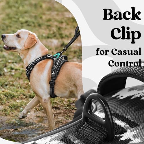 rabbitgoo Dog Harness Small Sized, Updated Easy On & Off - Image 7