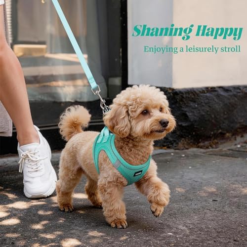 No Pull Dog Puppy Harness and Leash Set Reflective Mesh Vest XX-Small - Image 6