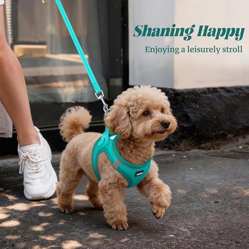 No Pull Dog Puppy Harness and Leash Set Reflective Mesh Vest XX-Small - Image 5