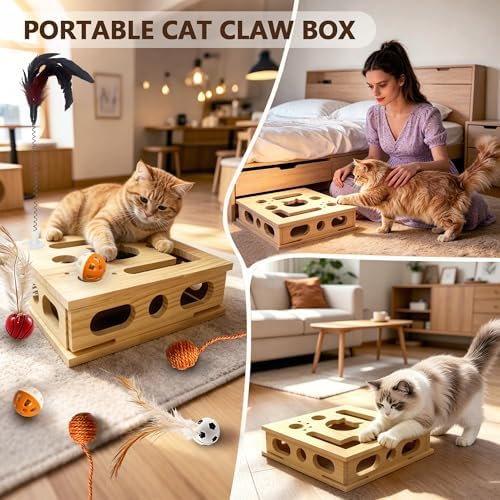 2026 New Model Cat Nail File Enrichment Box - Image 6