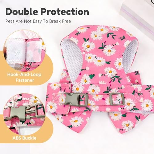 BAEJMJK Dog Harness and Leash Set - Image 7