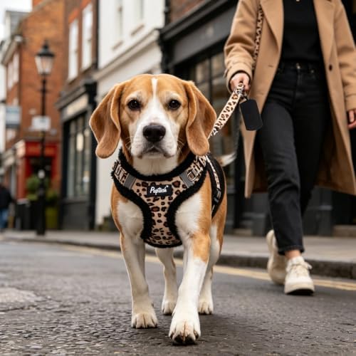 PUPTECK Dog Harness and Leash Set Small Sized, Step in No Pull Adjustable Puppy - Image 7