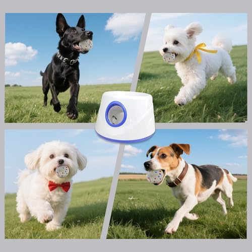 Dog Ball Launcher - Image 7