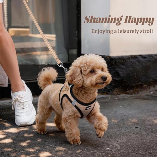 No Pull Dog Puppy Harness and Leash Set Reflective Mesh Vest Small - Image 6