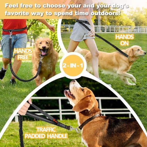Laqibak Hands Free Dog Leash, Adjustable Waist Leash - Image 7