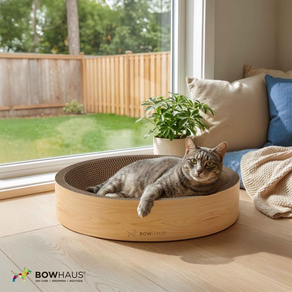 BOWHAUS Round Cat Scratcher Bed, Cardboard Scratch Pad Lounge, Reversible - Image 7