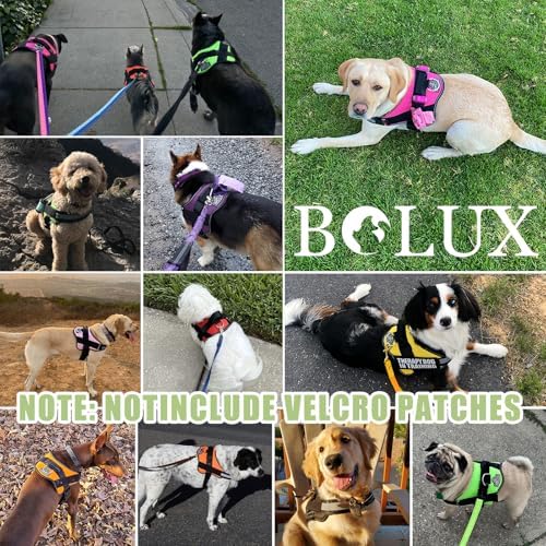 Bolux Dog Harness, No-Pull Reflective Dog Vest, Breathable Adjustable Pet - Image 6
