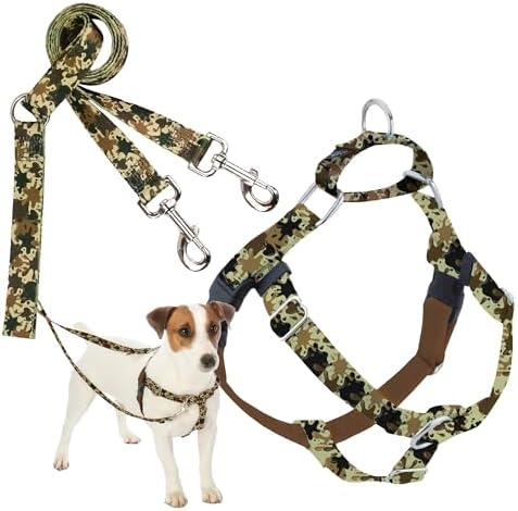 Training & Behavior Aids