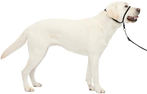PetSafe Gentle Leader No Pull Dog Headcollar by PetSafe